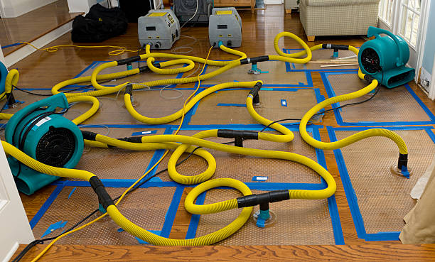 Professional Flood Damage Restoration technician working in Spring Park, MN